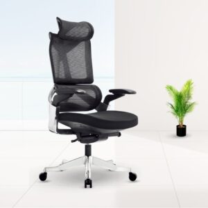 Ergonomic Chair – Comfortable &Amp; Adjustable Office Seating